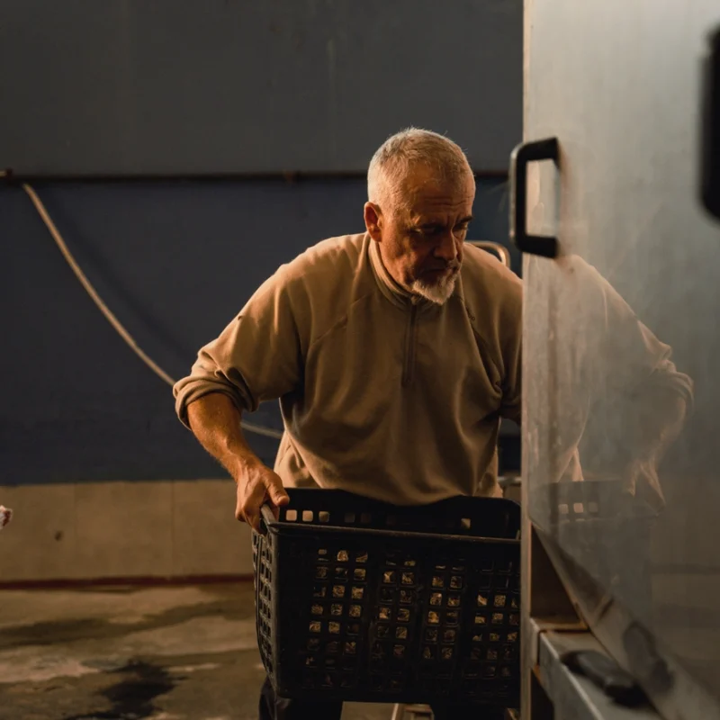 Un uomo solleva una cassetta nera traforata all’interno di un impianto di lavorazione, illuminato da luce calda proveniente da una finestra.