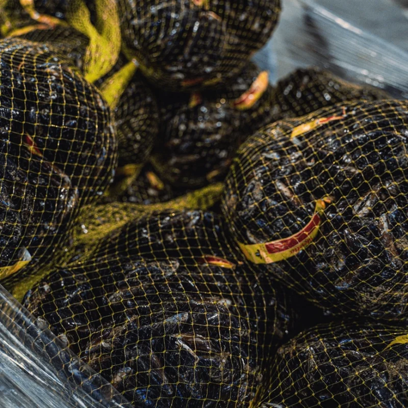 Sacchi di cozze confezionati in reti gialle impilati su un bancale avvolto nel cellophane all’interno di uno stabilimento di lavorazione.