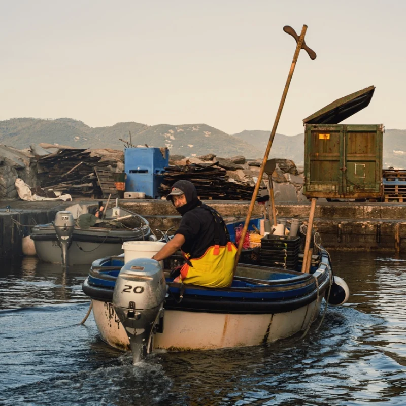 Mitilicoltore su una piccola barca mentre rientra al molo, con attrezzature da pesca e montagne sullo sfondo.