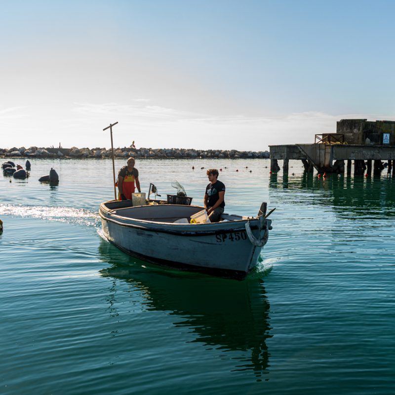 Due mitilicoltori a bordo di una piccola imbarcazione che naviga tra gli impianti di allevamento dei mitili, con una struttura su palafitte sullo sfondo.