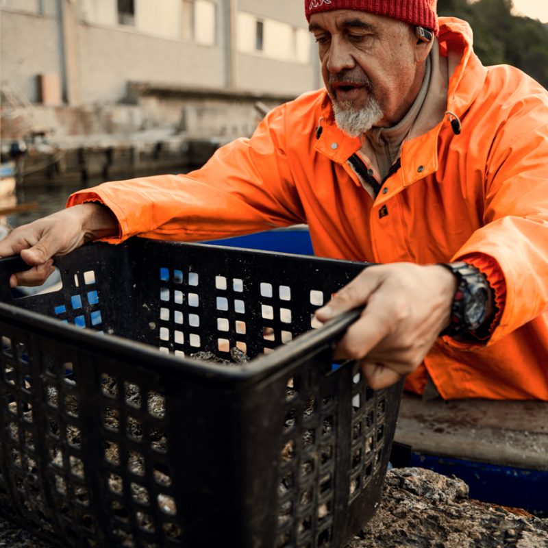 Mitilicoltore con giacca impermeabile arancione e berretto rosso mentre solleva una cassetta nera piena di mitili sul molo.