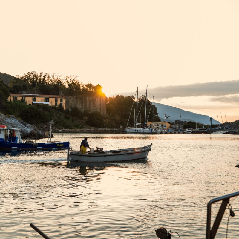 Piccola imbarcazione di mitilicoltori che rientra al porto al tramonto, con case, barche e colline sullo sfondo.