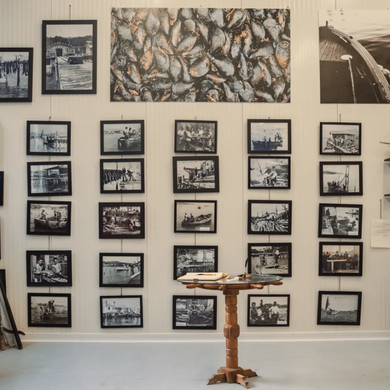 Sala espositiva con parete ricoperta di fotografie storiche in bianco e nero dedicate alla pesca e alla vita marina; al centro un piccolo tavolo in legno con oggetti esposti e ai lati scaffali e attrezzi tradizionali.