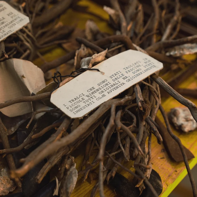 Primo piano di un’esposizione museale con vecchi tralci di rami intrecciati e alcuni mitili, accompagnati da un’etichetta descrittiva ingiallita che spiega l’origine e il metodo tradizionale di raccolta.