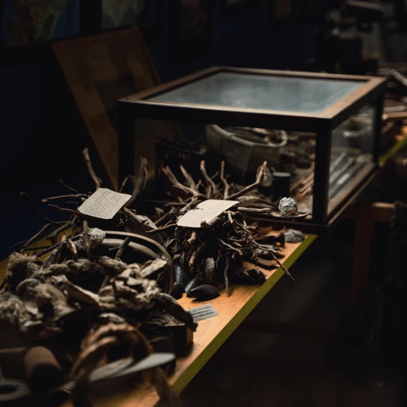 Tavolo espositivo in un piccolo museo dedicato alla mitilicoltura, con vecchi strumenti, fasci di rami usati come supporti per i mitili, etichette descrittive e una teca in vetro; sullo sfondo fotografie appese alle pareti.