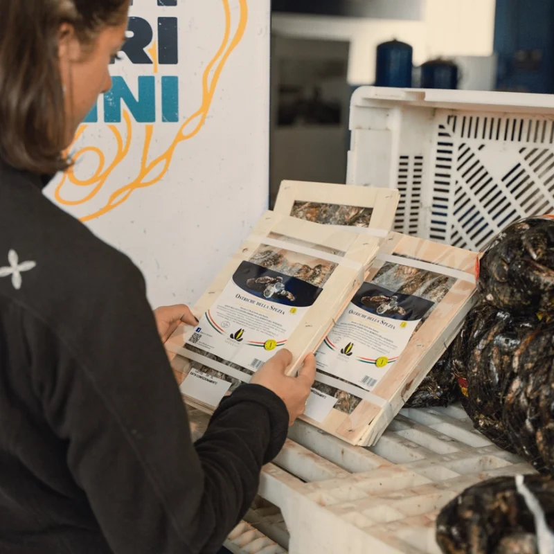 Persona che osserva confezioni di ostriche in cassette di legno appoggiate su una cassetta bianca, accanto a sacchi di mitili, con uno sfondo di banner dei Mitilicoltori Spezzini.